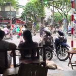 チワワの小梅さんの飼い主旅行 ベトナム ハノイ Vietnam HaNoi タンロン遺跡 ホアンキエムコ湖