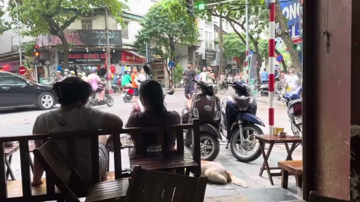 チワワの小梅さんの飼い主旅行 ベトナム ハノイ Vietnam HaNoi タンロン遺跡 ホアンキエムコ湖