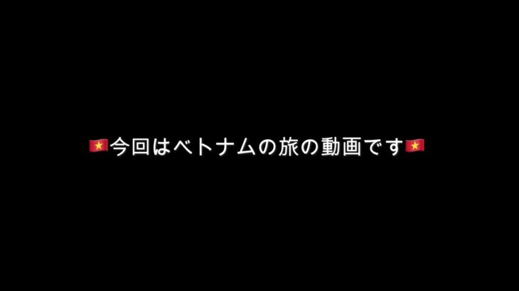 ベトナムの旅　ハノイ〜ニンビン〜ホイアン〜ダナンまでの旅