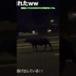 バイクでベトナムホーチミンの夜の街走ってたらまさかのw #ホーチミン旅行 #バイク #ホーチミン