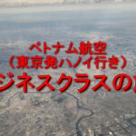 ベトナム航空（東京発ハノイ行き）ビジネスクラスの旅