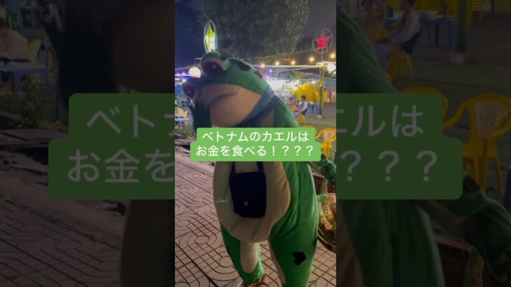 お金を食すベトナムの道端で出会ったカエル🐸💸　#ベトナム旅行#ベトナム語#ホーチミン在住#ホーチミン旅行#東南アジア#海外インターン#海外留学#ひとり旅#2人旅#卒業旅行#海外旅行#海外生活#旅行