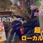 初心者向け🔰ベトナムホーチミンの超人気店屋台🍴美味しすぎました😍女ひとり旅。Vietnam