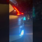 ベトナム　ホーチミン市　Vietnam Ho Chi Minh City 🇻🇳 チワワの小梅さん飼い主旅行 202408