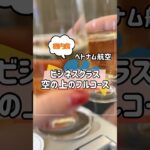 ベトナム航空ビジネスクラスでセントレアからホーチミンへいってきました！