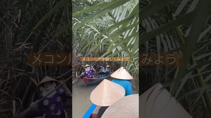 大自然！食！文化遺産！全てを体験できるメコン川ツアーに行ってみよう！#ベトナム旅行 #ホーチミン #メコン川