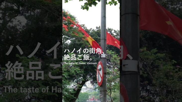 ベトナム旅行🇻🇳首都ハノイの街角で見つけた絶品グルメたち。食べないと損ってくらいの美味しさですよ…！ハノイのグルメ13食をYouTube動画で紹介中。#ベトナム旅行#ハノイ#グルメ#ベトナム料理