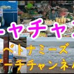 【夜行列車でベトナムニャチャンへ】寝台車は満席 やむなく2等車で １２月はまだ雨季らしい　そのうえモンスーンが吹き込み　観光には不向きな時期だったか　街はビーチ以外は何もなさそう
