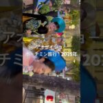 アオザイ美女③ホーチミン旅行😊アオザイショーやってました！2025年