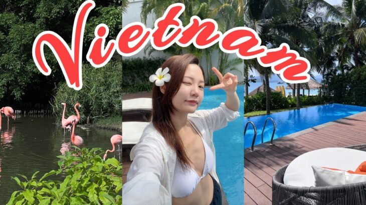 🌴【越南芽庄】被低估的海岛天堂！5天4夜家庭旅行VLOG｜性价比高到爆炸｜潜水+美食+秘境海滩｜治愈系度假VLOG #50｜ninido