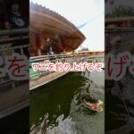 #6「ワニ釣りが出来るだと！」ベトナム編🇻🇳#世界一周#海外旅行#一人旅#バックパッカー#ホーチミン#スイティエン公園