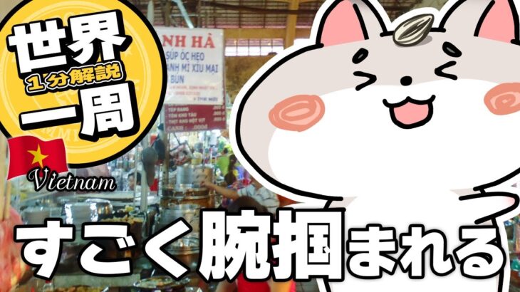 【一分解説 × 世界一周】ベトナム ホーチミン おっちゃんのバイク観光続き ホーチミン作戦博物館や統一会堂　市場の激しい客引き🇻🇳  写真で振り返るハムスターの世界一周 Ep10