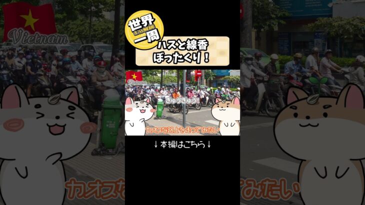 【一分解説 × 世界一周】バイク多すぎベトナム ホーチミン お寺であったぼったくり！　おっちゃんのバイクに乗っかって観光🇻🇳  写真で振り返るハムスターの世界一周 Ep9 #Shorts
