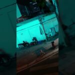 ベトナムが恋しい方へ / MissingVietnam? バイクが行き交い、人々が語らう夜のホーチミン。懐かしくてあたたかい、ベトナムの夜の空気をお届け。#ベトナム #ホーチミン #夜景 #旅気分