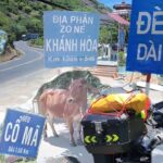Nhơn  Lý (Quy Nhơn) – Nha Trang (Khánh Hòa) | tay ga vlog 4K