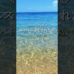 【ベトナム・チャム島🇻🇳🏝️】ダナンから日帰りOK!ユネスコ認定の絶景島🏝#ダナン旅行#ベトナム旅行