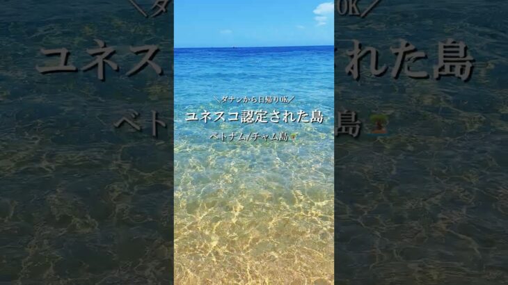 【ベトナム・チャム島🇻🇳🏝️】ダナンから日帰りOK!ユネスコ認定の絶景島🏝#ダナン旅行#ベトナム旅行