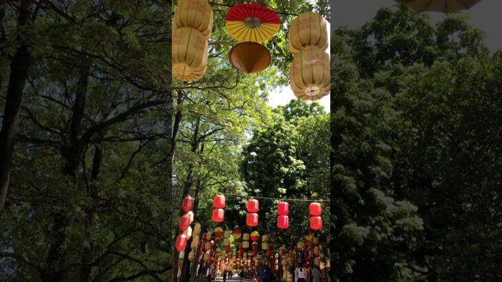 ベトナム旅行🇻🇳タンロン遺跡 オシャレな提灯通り/ハノイ旧市街/世界遺産/Vietnam #海外旅行 #ベトナム旅行 #一人旅