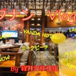 ダナン　Vlog　～　ベトナム　ダナン旅行記part3です　リゾート地をしっかり楽しんできました　～