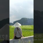ベトナム、ニンビンの動画はYouTube本編から🌿#ベトナム旅行#ハノイ#ニンビン #海外旅行 #vietnamtravel #hanoitoninhbinh #ninhbinh