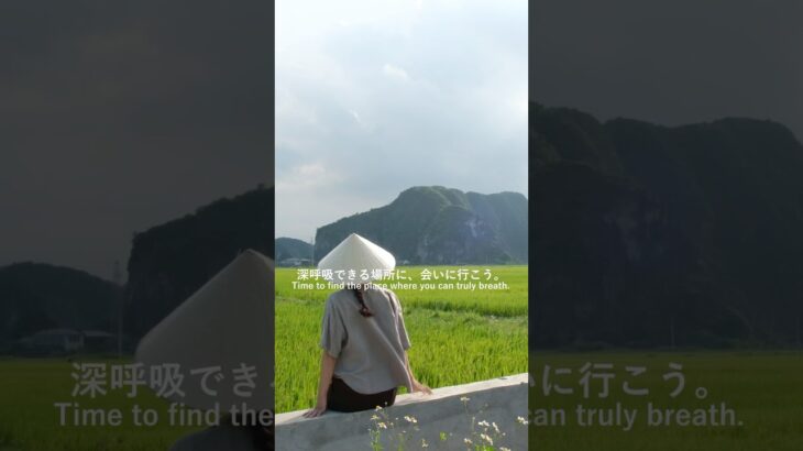 ベトナム、ニンビンの動画はYouTube本編から🌿#ベトナム旅行#ハノイ#ニンビン #海外旅行 #vietnamtravel #hanoitoninhbinh #ninhbinh