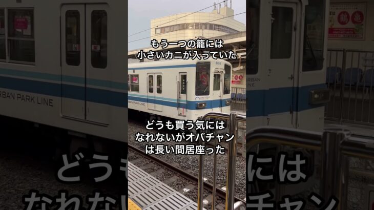 始まったか❗️今朝はベトナムのニャチャンの旅を思い出しながらの出社。 #japaneserailway #japanrailway #shorts