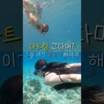 나트랑 여행 필수 코스🔥
