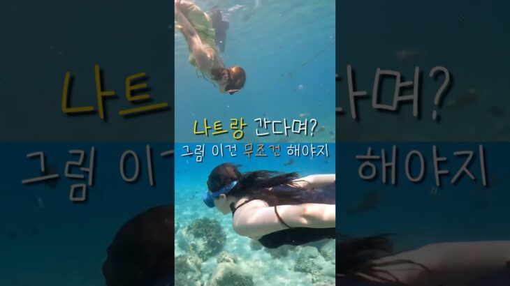 나트랑 여행 필수 코스🔥