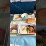 ベトナム旅行🇻🇳ベトナム航空機内食/名古屋→ハノイ #海外旅行 #ベトナム旅行 #一人旅