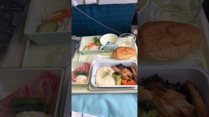 ベトナム旅行🇻🇳ベトナム航空機内食/名古屋→ハノイ #海外旅行 #ベトナム旅行 #一人旅