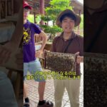 勢いでホーチミン一人旅行ってみた（後編）