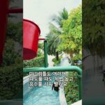 베트남 나트랑 간다면 숙소는 여기! 알마리조트! 아이들 놀기좋은 수영장만 12개에 워터파크까지! #협찬 #나트랑 #나트랑리조트 #나트랑여행 #베트남 #베트남여행 #알마리조트
