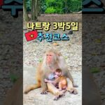 나트랑 3박5일 여행코스 추천일정 1분 정리 🇻🇳