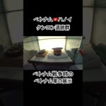 ベトナム旅行🇻🇳ベトナム軍の展示/ベトナム戦争/作戦会議室/ハノイ/Vietnam #海外旅行 #ベトナム旅行 #vietnam