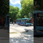 ベトナム旅行🇻🇳バイクが行き交うベトナムの交通事情/ハノイ旧市街/街歩き/Vietnam #海外旅行 #ベトナム旅行 #vietnam