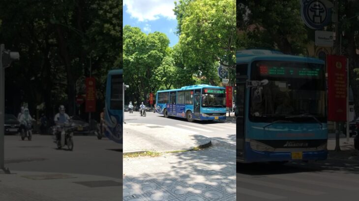 ベトナム旅行🇻🇳バイクが行き交うベトナムの交通事情/ハノイ旧市街/街歩き/Vietnam #海外旅行 #ベトナム旅行 #vietnam