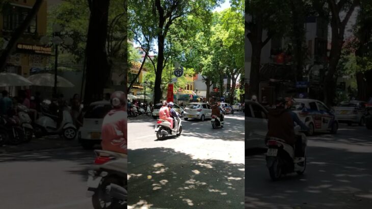ベトナム旅行🇻🇳ハノイ旧市街の交通/街歩き/Vietnam #海外旅行 #ベトナム旅行 #vietnam