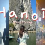 【Vlog】ep.2 ベトナム絶景！ハロン湾日帰りツアー！（家族旅行、ブンチャー、エッグコーヒー🥚）
