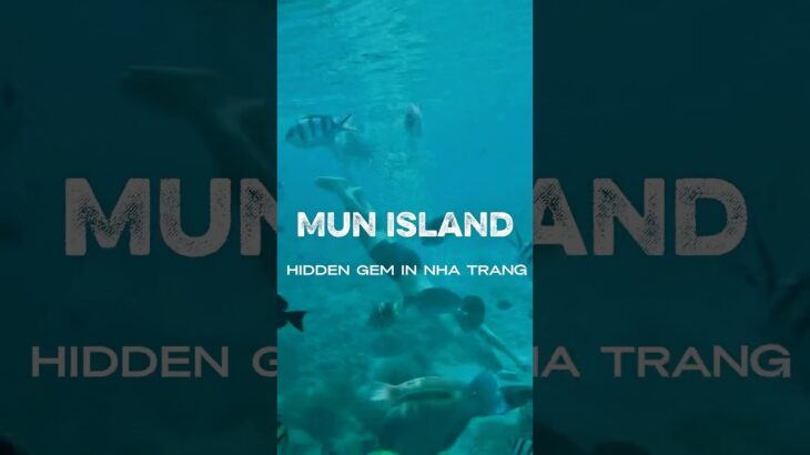 You Won’t Believe This Hidden Paradise in Vietnam! 🌊🐠