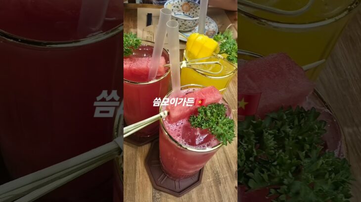 나트랑여행중🇻🇳 #씀모이가든#베트남가정식#사장님잘생김#부산송정 #jmt 점오픈
