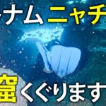 洞窟! ゴツゴツ岩! 塗り広げるモフモフ! ベトナム人ガイドと行くニャチャンダイビング