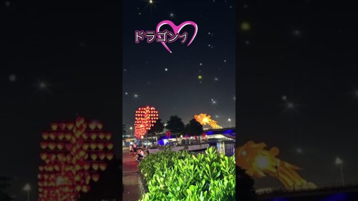 #ベトナム #ダナン #夜景 #ドラゴン橋　ダナンの夜景に酔いしれる💓　色が変わるドラゴンブリッジは朝見ると？やはり夜景に映える🤩