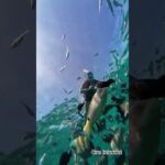Нячанг — самое любимое туристическое место во Вьетнаме среди россиян.