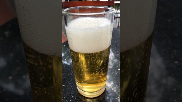 ベトナム旅行🇻🇳ハノイビール🍺/ハノイ旧市街/街歩き #海外旅行 #ベトナム旅行 #vietnam
