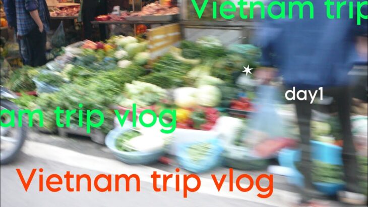 【初海外vlog】ハロー！Hanoi,Vietnam,day1