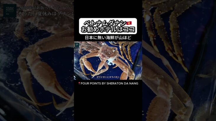 ダナン旅行2025最新情報 海鮮は絶対に食べてほしい