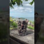 Đồi Cừu Đà Nẵng – Ly nước sim mát lạnh, triệu view, triệu trend! 🐑💜