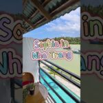 나트랑 신상 마사지, 강스파 Gang Spa