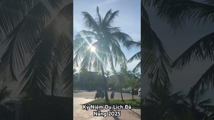 Kỷ Niệm Du Lịch Đà Nẵng 2025 #dulich #mylife #travelling