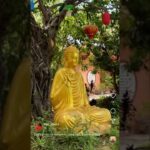 Окрестности Нячанга: Long Son, Diamond Bay и Boho. Another day in Nha Trang